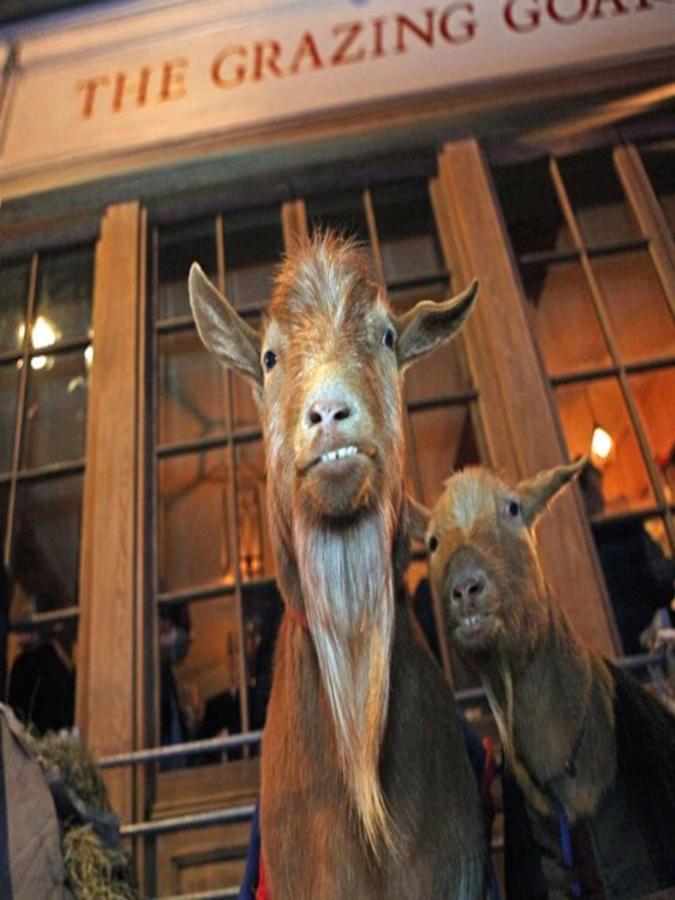The Grazing Goat Hotel London Eksteriør billede